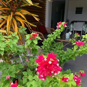 Le Tropical 1 Ou 2 Chambres , Les Anses-d'Arlet Martinique