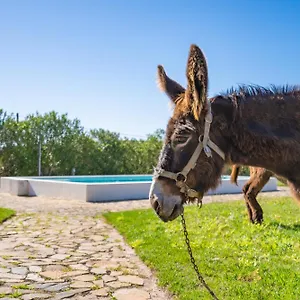 Vakantieboerderij Burro Ville, Portimão